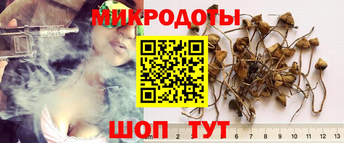 Галлюциногенные грибы MAGIC MUSHROOMS  Вход с VPN  Псилоцибиновые грибы Cubensis  Ишимбай 
